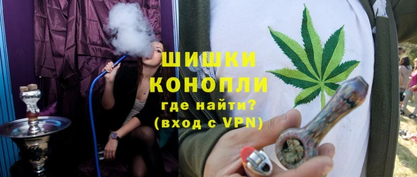 ECSTASY Бикин